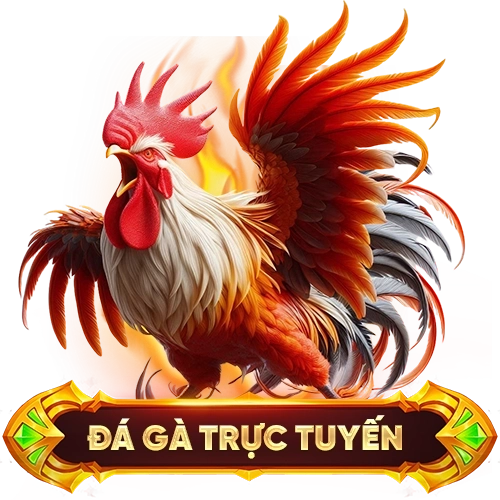 đá gà trực tuyến LUCK8